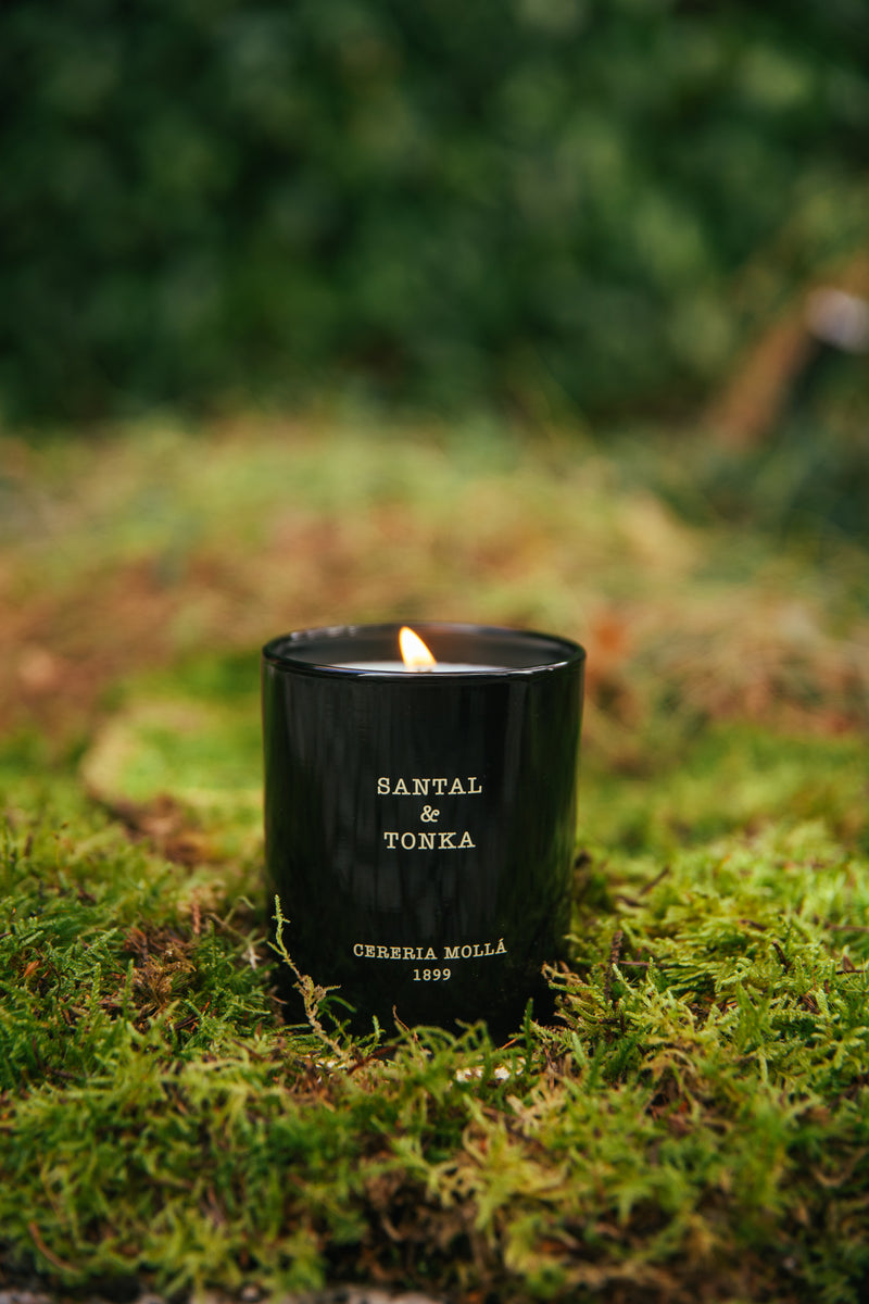 Bougie parfumée premium au bois de santal et à la fève tonka